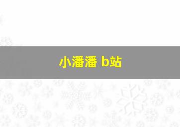 小潘潘 b站